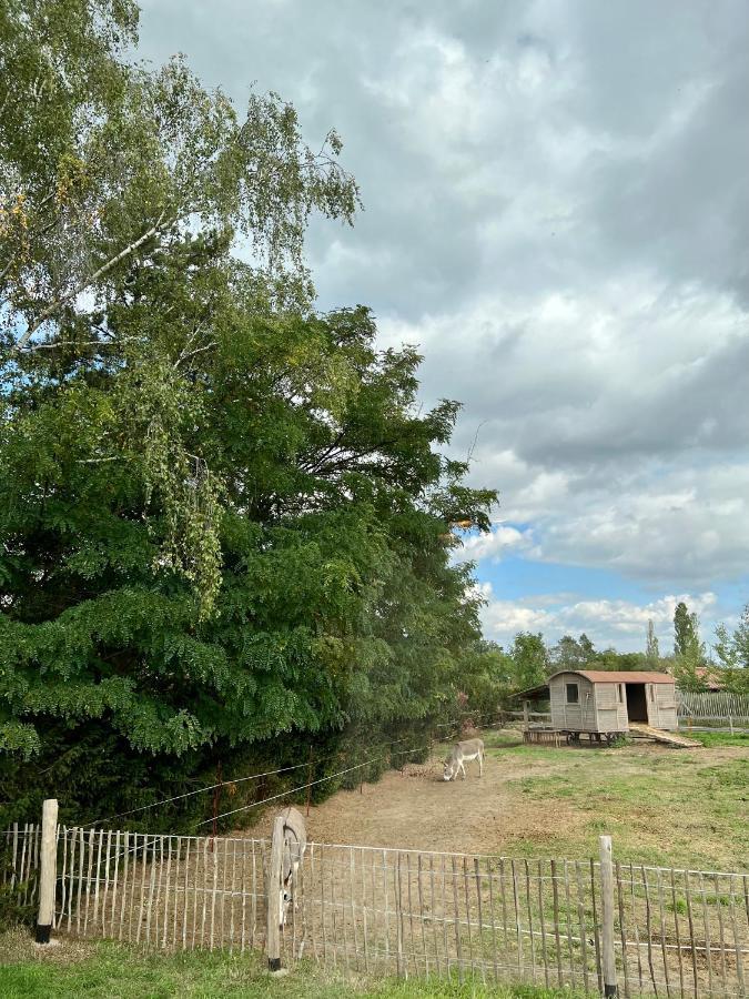 Apartmán Lieblingsplatz Parey - Tiny House Exteriér fotografie
